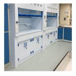 Steel Fume Hood With Low Noise High Durability Customizable Dimensions
