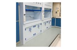 China Steel Fume Hood With Low Noise High Durability Customizable Dimensions supplier