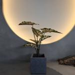 Lifelike Green Plastic Artificial Plants 70-120cm For Indoor / Outdoor Decor for sale