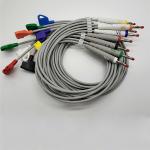 HP Digitrak Xt 10 Lead Holter ECG Cable With Banana Plug for sale