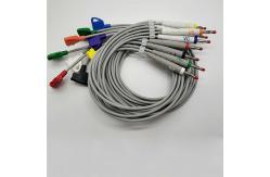 China HP Digitrak Xt 10 Lead Holter ECG Cable With Banana Plug supplier