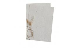 China Custom Paper Seed Embedded Cards Printed Plantable Herb Seed Paper supplier