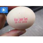Two Meter Long Conveyor Egg Printing Machine / Egg Stamping Equipment