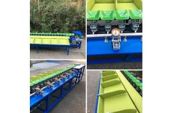 China Grape Size Classifier  Tomato Potato Fruit Grading Machine supplier