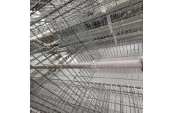 China One Day Old Baby Chick Cage With Full Automatic System supplier