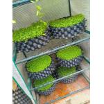 protect the root of the plants effectively of the air root pruning  container