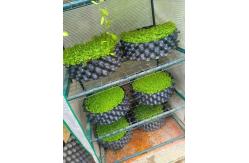 China protect the root of the plants effectively of the air root pruning  container supplier