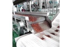 China 20TPD Sea Buckthorn Processing Fruit Juice Production Line supplier
