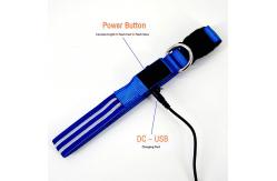 China USB Rechargeable Flashing Dog Collars supplier