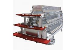 China 2pc/Layer HDG Poultry Egg Collection System Automatic 4m/Min Speed supplier