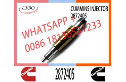 China Fuel Injector Assembly 2872544 2086663 2057401 2872405 203183 Common Rail Injector supplier