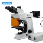 OPTO-EDU A16.2601 40x - 1000x LED Trinocular Fluorescence Microscope For Research / Learning for sale