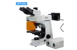 China OPTO-EDU A16.2601-B2 Fluorescent Microscope, Binocular, B/G supplier