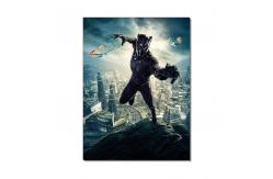 China Marvel Design 3D PS Board Poster With 3MM Thickness supplier