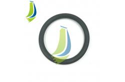 China 3678756 O Ring Seal For ISX15 Engine supplier