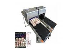 China High Resolution Batch And Date Coding Inkjet Printer For Whole Plate Eggs supplier