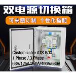 Compact Single Phase Automatic Transfer Switch ATS Box Waterproof Wall - Mount 2 Pole 63A  400V for sale