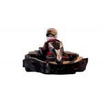 Double Motor 4000W Adult Racing Go Karts 120km/H High Speed for sale