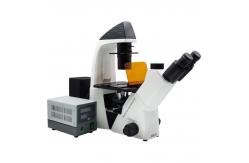 China Binocular Wide Field Fluorescence Microscopy A16.2614 40X - 1600X Magnification supplier