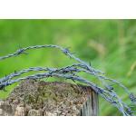 Garden Anti-Theft Length 200m Single Strand Hot Dipped Galvanized Barbed Wire for sale