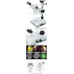 Binocular Stereo Optical Microscope , CE Rohs A23.0902-ST3