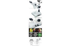 China Binocular Stereo Optical Microscope , CE Rohs A23.0902-ST3 supplier