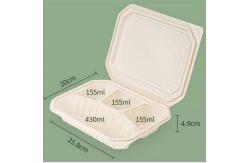China 4 Compartments Biodegradable Container Clamshell Hinge Biodegradable Meal Box supplier