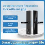 Tuya Wifi TTlock Smart Fingerprint Lock Bloqueio Fingerprint Entry Door Lock for sale