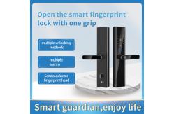 China Tuya Wifi TTlock Smart Fingerprint Lock Bloqueio Fingerprint Entry Door Lock supplier