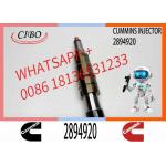 Diesel Common Rail Fuel Injector 2086663 1933613 1881565 2894920. Compatible for sale