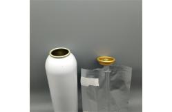 China Female BOV Aerosol Bag On Valve For Consumer And Idustrial Applications supplier