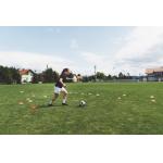 30mm Height Artificial Synthetic Turf Sports Flooring Green PE Plastic Grass
