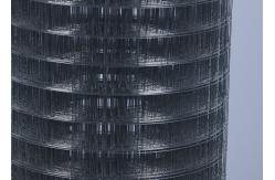 China 1/2 Inch Electric Galvanized Welded Wire Mesh For Hardware Cloth supplier