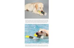China Popsicle Shaped Puppy Chewing Toys OEM ODM For Pet Biting supplier