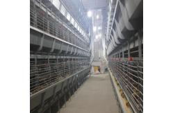 China Galvanized Broiler Battery Chicken Cage Poultry Farm Equipment For Meat Chicken supplier