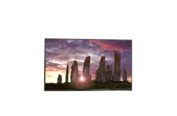 China B133HAN04.6 13.3 inch 1920*1080 TFT-LCD SCREEN PANEL supplier