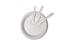 China Sustainable Biodegradable Plastic Cutlery supplier