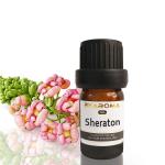 ODM Aroma Diffuser Essential Oil Fragrance Pure Essential Oil Grapefruit