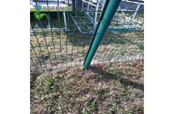 China Fruit Shop painted Security V Mesh Fencing Display Fence supplier