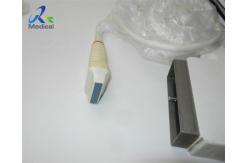 China GE 739L/10L Linear Array Ultrasound Probe 10MHz For superficial vascular supplier
