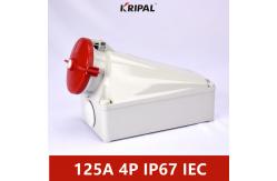 China 125A 380V IP67 Industrial Wall Mounted Socket With Plug IEC standard supplier