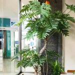 180cm High Artificial Philodendron Evergreen Real Touch Leaves No Caring Potted Plant for sale