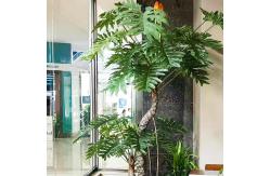 China 180cm High Artificial Philodendron Evergreen Real Touch Leaves No Caring Potted Plant supplier