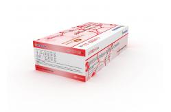 China Home Use COVID-19 Antigen Rapid Test Swab CE TUV supplier