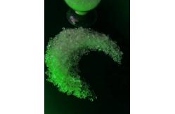 China General Purpose Polyester Resin 50/50 High Gloss And Good Flow supplier