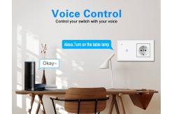 China Square Switch And Outlet Combo App Remote Control Light Switch Outlet Combo supplier