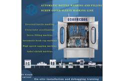 China Double Heads Shampoo Washing Liquid Filling Machine Tracking Capping Equipment supplier