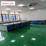 As Drawing Number of Hooks and Shelves Chemistry Lab Workbench with 80 Kg Weight Capacity for sale