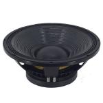 700 Watt Pro Audio Powered Subwoofer B&C PA Speaker 38Hz - 2000Hz