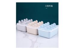 China Ice Cream Popsicle Mold PP Plastic Organizer Box Rectangle supplier